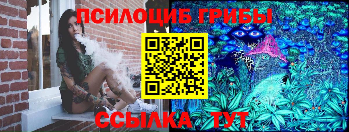 Архангельск  Псилоцибиновые грибы GOLDEN TEACHER  Вход с VPN 