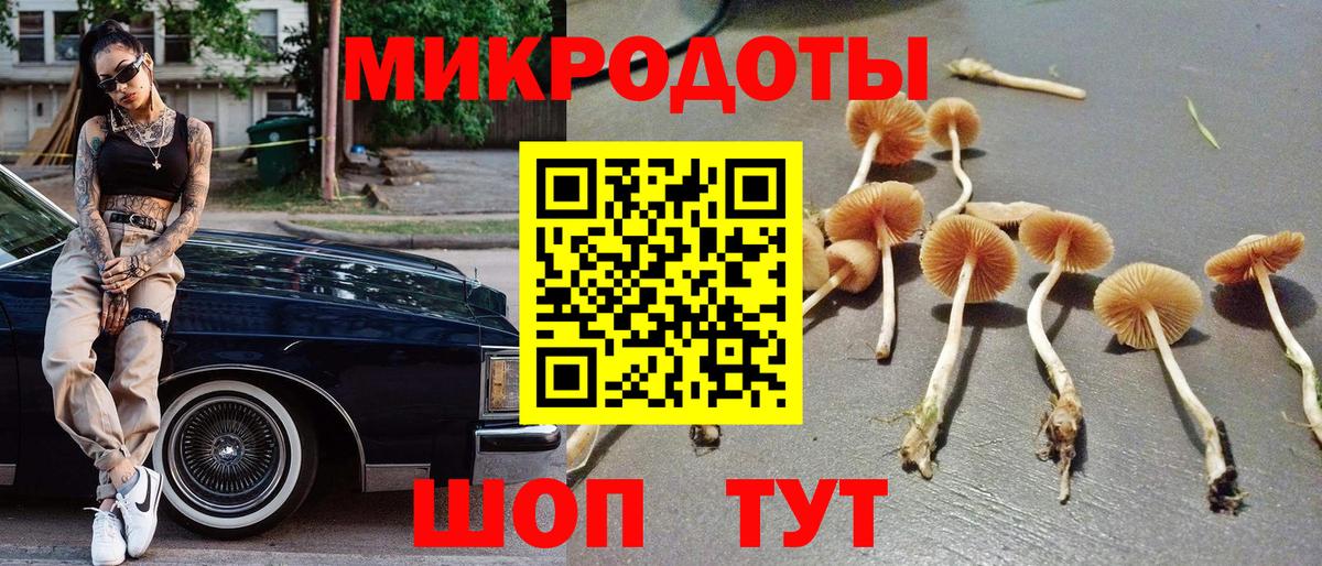 Псилоцибиновые грибы ЛСД Архангельск
